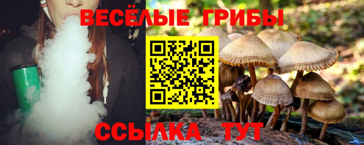 Псилоцибиновые грибы ЛСД Губкинский