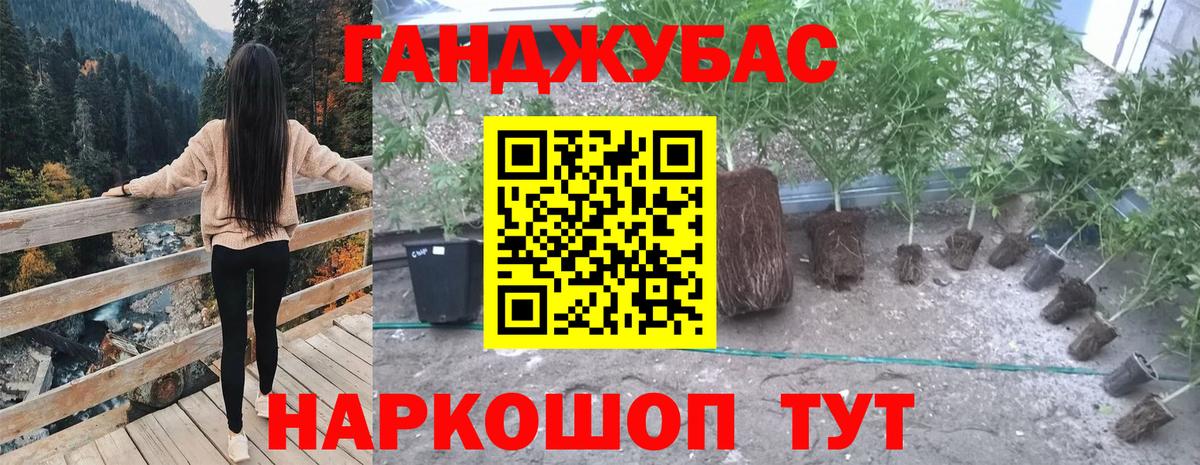 Бошки марихуана план Губкинский